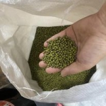 Đậu xanh có vỏ