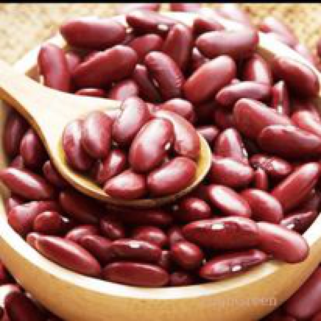 Đậu đỏ